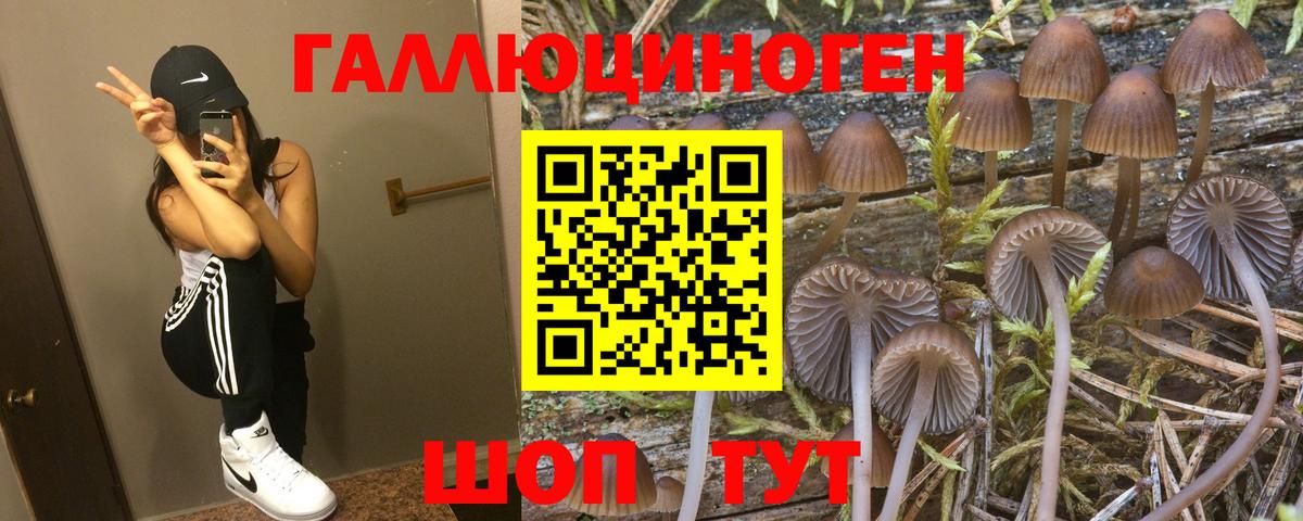 Псилоцибиновые грибы Psilocybine cubensis  Галлюциногенные грибы прущие грибы  Вход с VPN  Воркута 